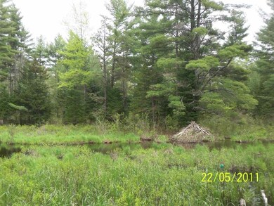 0 Granite Rd unit 106 4769133, Effingham, NH 03882 - photo 2