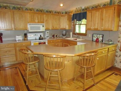 831 Apple Way, Saint Thomas, PA 17252 - photo 3