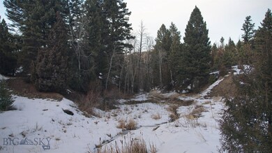 Rader Creek runs thru entire property