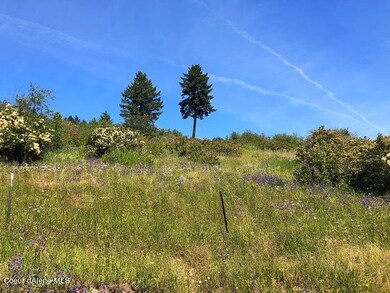 NKA Van Dusen, Harrison, ID 83833 - photo 4