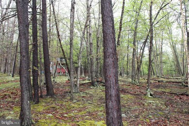 252 Secrist Rd, Lahmansville, WV 26731 - photo 7