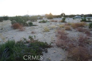 4913 Sunfair Rd, Joshua Tree, CA 92252 - photo 4