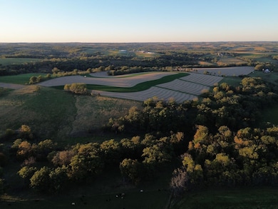 5320 Sunny Ridge Rd, Mineral Point, WI 53565 - photo 3