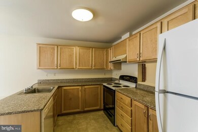 11898 Blue February Way, Columbia, MD 21044 - photo 5