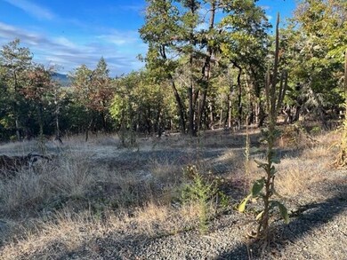 Large open area
