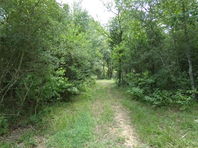 31375 Joseph Rd, Hockley, TX 77447 - photo 4