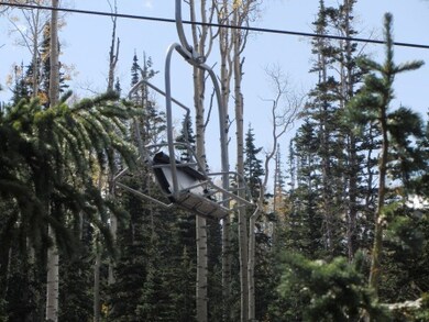 561 S Vasels Rd unit B-5, Brian Head, UT 84719 - photo 6