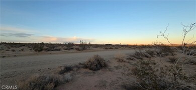 2 Belmont St, Joshua Tree, CA 92252 - photo 4