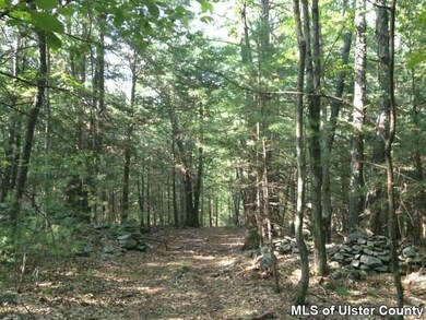 TBD Kripplebush Rd, Marbletown, NY 12404 - photo 6