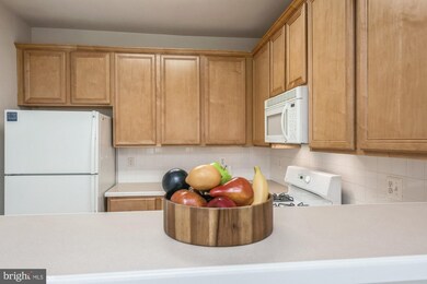 11333 Westbrook Mill Ln unit 301, Fairfax, VA 22030 - photo 2