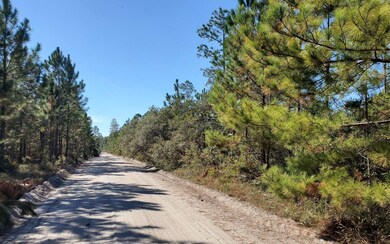 0 County Line Rd unit 123992, Lee, FL 32059 - photo 2