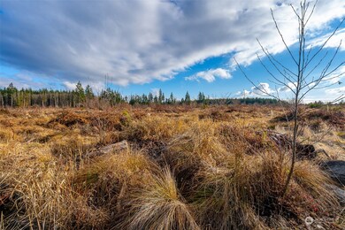 0 U S 12 unit Lot 2 NWM2273307, Napavine, WA 98532 - photo 7