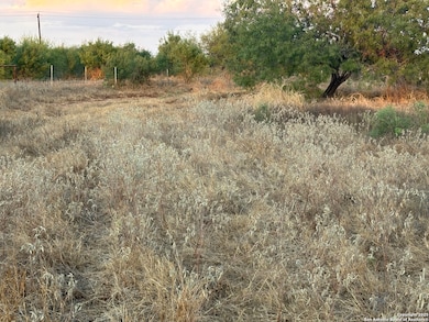 640 County Road 417, McCoy, TX 78113 - photo 5