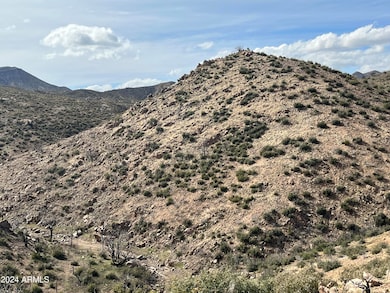 00000 E Ranch Creek Rd, Globe, AZ 85501 - photo 2