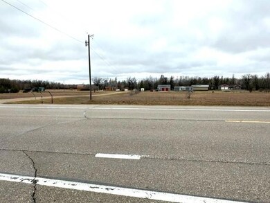 TBD Minnesota 11, Badger, MN 56751 - photo 3