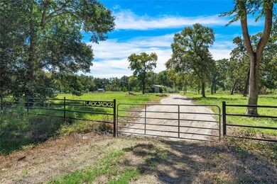 29847 Joseph Rd, Hockley, TX 77447 - photo 3