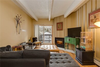 Living Room - Gas fire place
