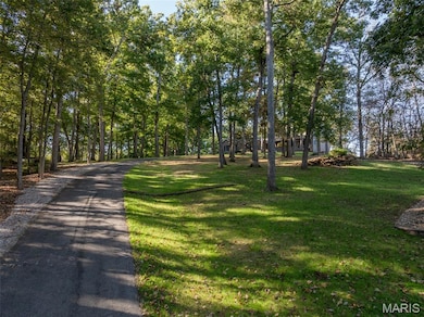 100 Silex Elevator Rd, Silex, MO 63377 - photo 4