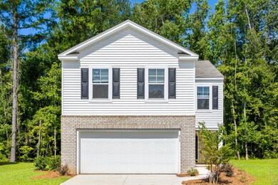 613 Red Mulberry - SR_1