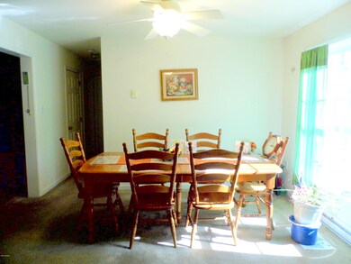 20 Birch St, Honesdale, PA 18431 - photo 7