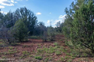 20.76 Acres Kimlee Rd, Ash Fork, AZ 86320 - photo 5