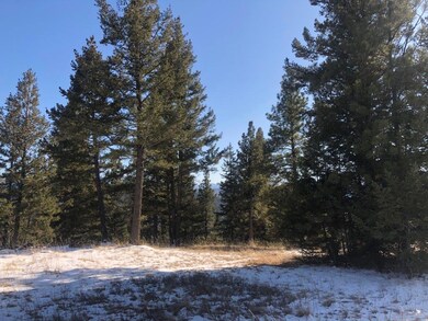 141 Torto Loop, Kila, MT 59920 - photo 5