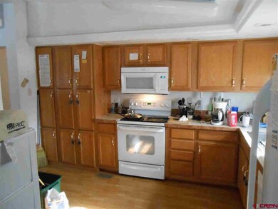 0 County Road 11 unit About a mile off Sta, Gunnison, CO 81230 - photo 5