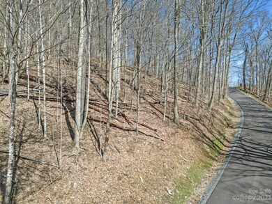 16 Chestnut Village unit 16, Mars Hill, NC 28754 - photo 5