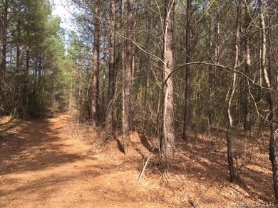 00 Hwy 73 Rd, Iron Station, NC 28092 - photo 7