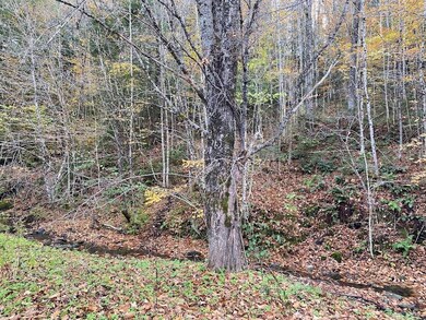 662 Vt Route 15 E, Hardwick, VT 05843 - photo 7