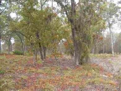 Lot 29 Breeze Dr 2nd unit 1, Perry, FL 32348 - photo 3