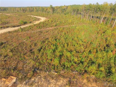 Aerial View of the 20.218 acres