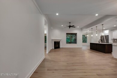 172 Utsesti Way, Loudon, TN 37774 - photo 4