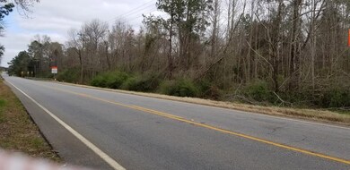 000 Georgia Highway 32, Dawson, GA 39842 - photo 3