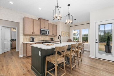 1008 Bennetts Arch, Suffolk, VA 23435 - photo 5