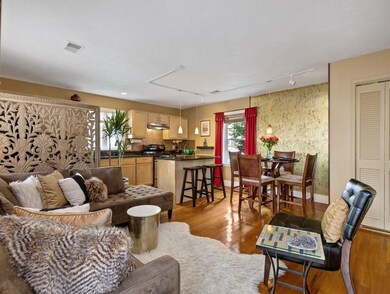 76 Perrin St unit 3, Roxbury, MA 02119 - photo 6