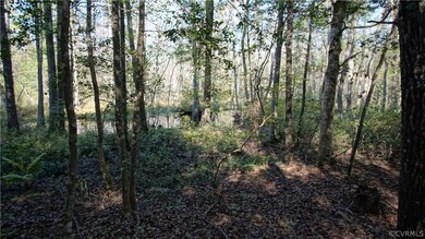 Lot 8 Millpond Rd, Prince George, VA 23842 - photo 7