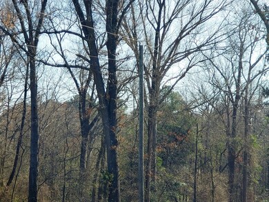 TBD County Road 153, Nacogdoches, TX 75965 - photo 4