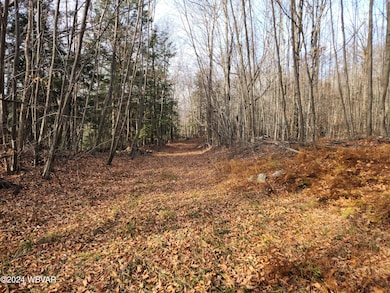 0 Pole Bridge Rd unit LOT 38 WB-100450, Laporte Township, PA 17758 - photo 2