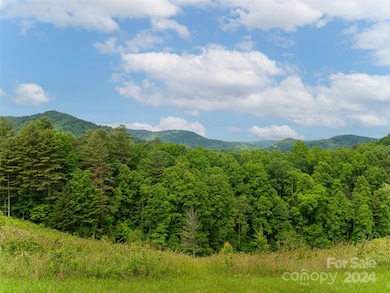 117 Icenhower Rd, Leicester, NC 28748 - photo 5