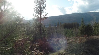 View of Lake Roosevelt