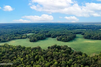 0 Vildo Rd, Bolivar, TN 38008 - photo 5