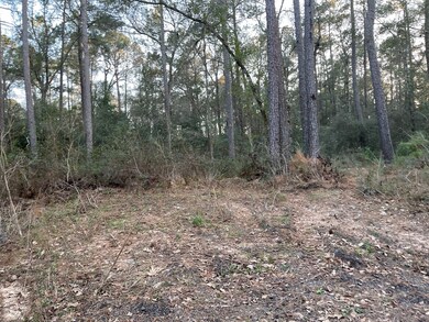 10311 Lake Dr, Willis, TX 77095 - photo 2