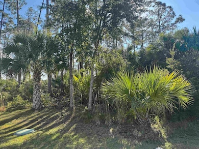 13 Random Place, Palm Coast, FL 32164 - photo 2