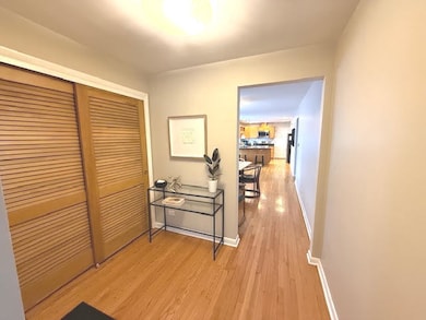 556 Barton Ave unit 1, Evanston, IL 60202 - photo 4