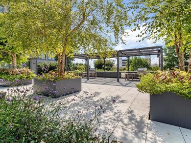 Grilling Area