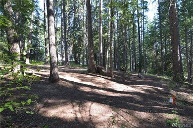 0 Bunker Rd, Ronald, WA 98922 - photo 3