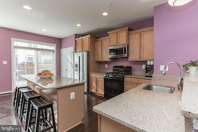 4741 Verdana Loop, Frederick, MD 21703 - photo 3