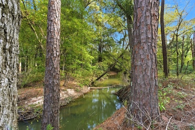 11091 Newton Cir, Conroe, TX 77303 - photo 2