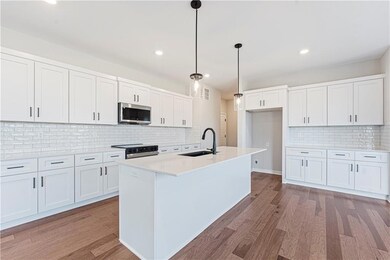 17123 W 197th St, Spring Hill, KS 66083 - photo 6